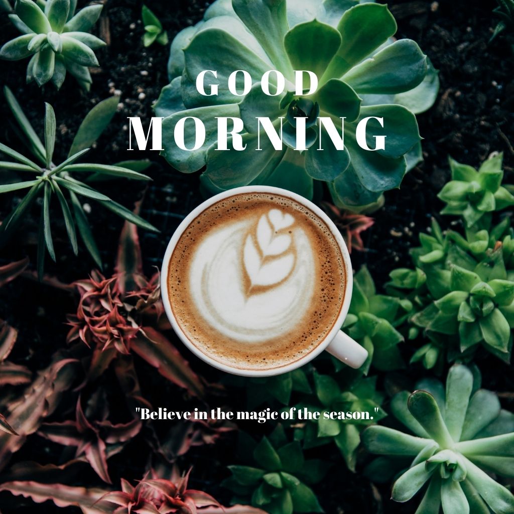 Good Morning Coffee Images | Natural Good Morning Pics