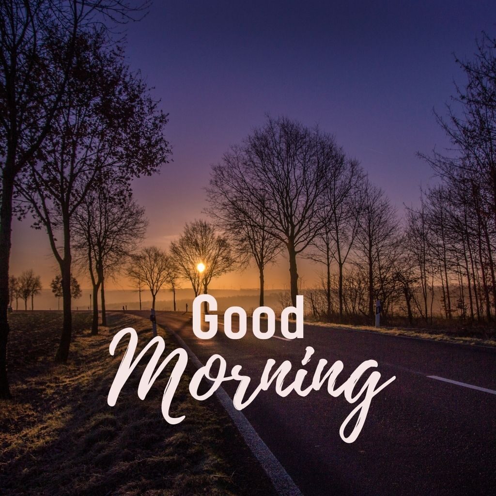 Good morning deals nature images hd